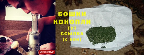 ешки Горнозаводск
