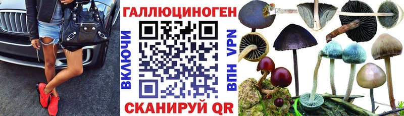 Псилоцибиновые грибы Cubensis  Купить  Сураж 
